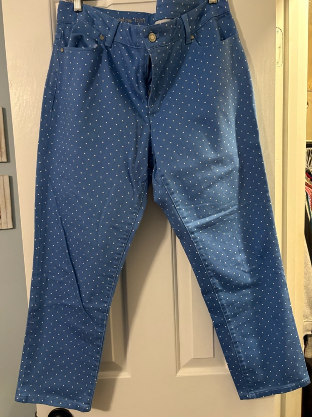 Talbots Blue Polka Dot Cropped Jeans